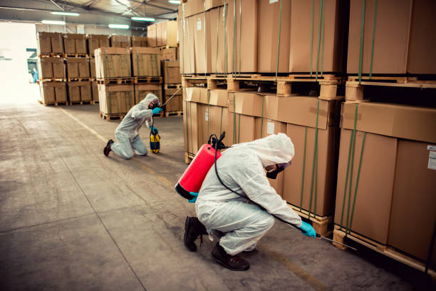 Professional Pest Control in Fairfield Plantation, GA