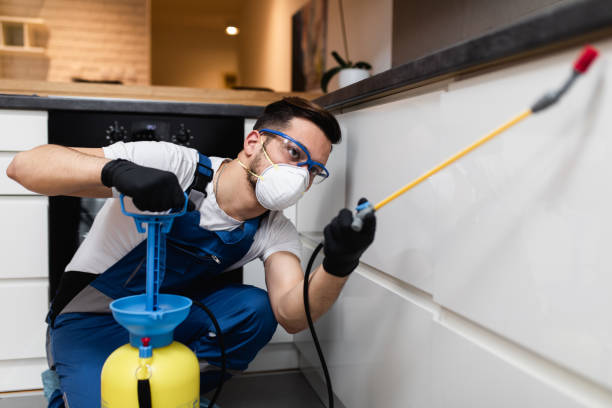 Best Cockroach Control Services  in Fairfield Plantation, GA