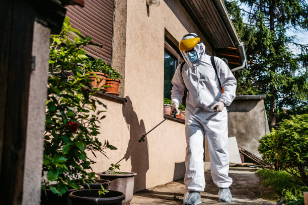 Wildlife Control Services in Fairfield Plantation, GA