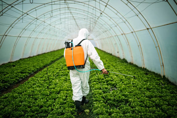 Best Best Pest Control Companies  in Fairfield Plantation, GA