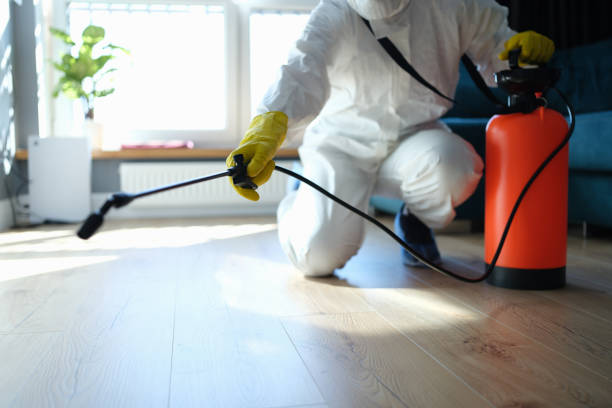 Best Mosquito Control Services  in Fairfield Plantation, GA
