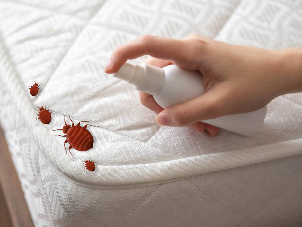 Best Flea Control Services  in Fairfield Plantation, GA