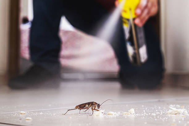 Best Rodent Control Near Me  in Fairfield Plantation, GA