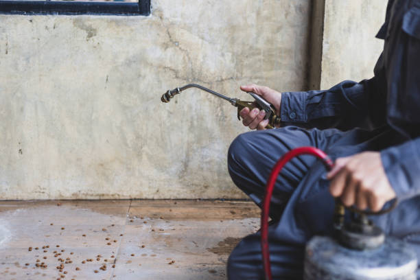 Best Emergency Pest Control  in Fairfield Plantation, GA